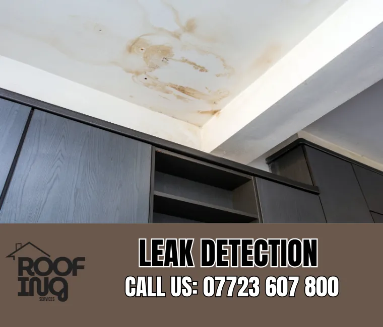 Roof leak detection and repair in Axminster
