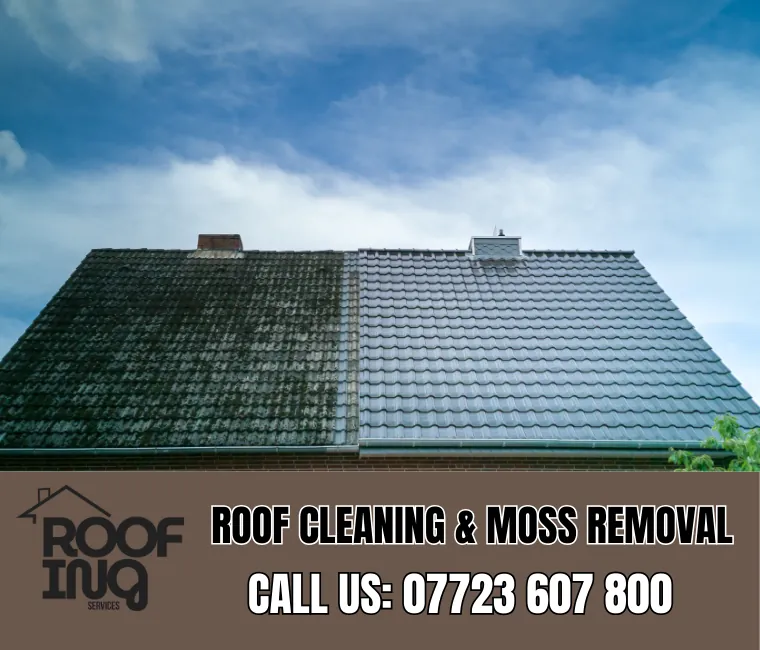 Roof cleaning and moss removal in Axminster